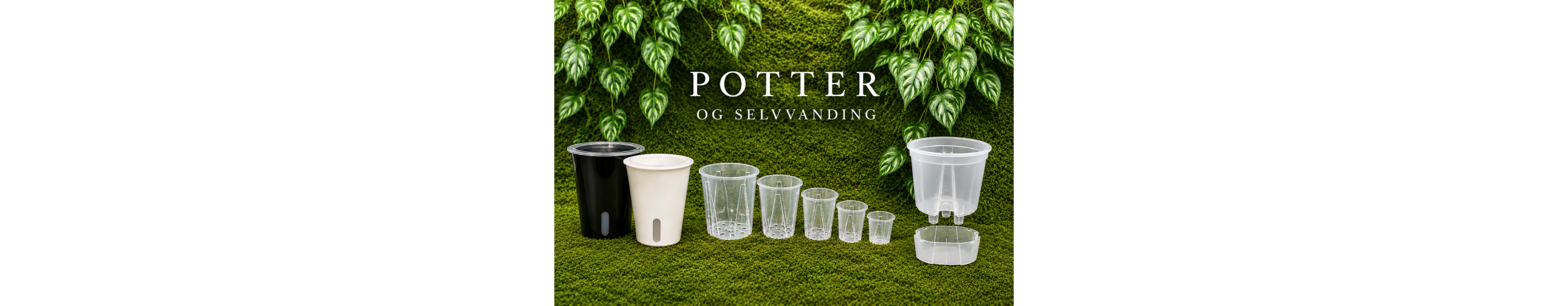 Potter og selvvanding