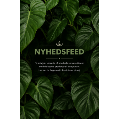 Nyheder!