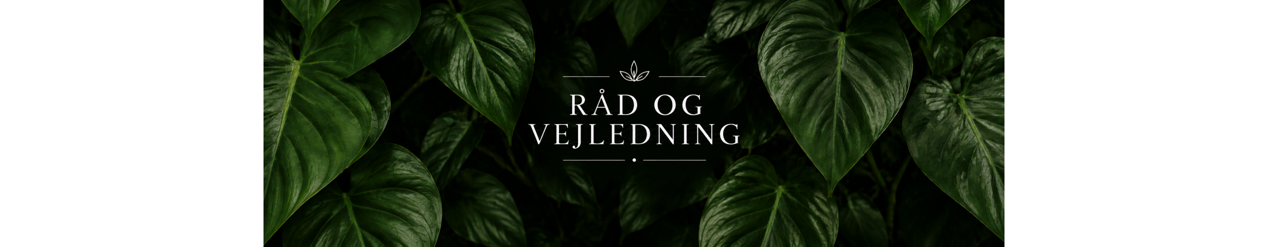 R&aring;d og Vejledning