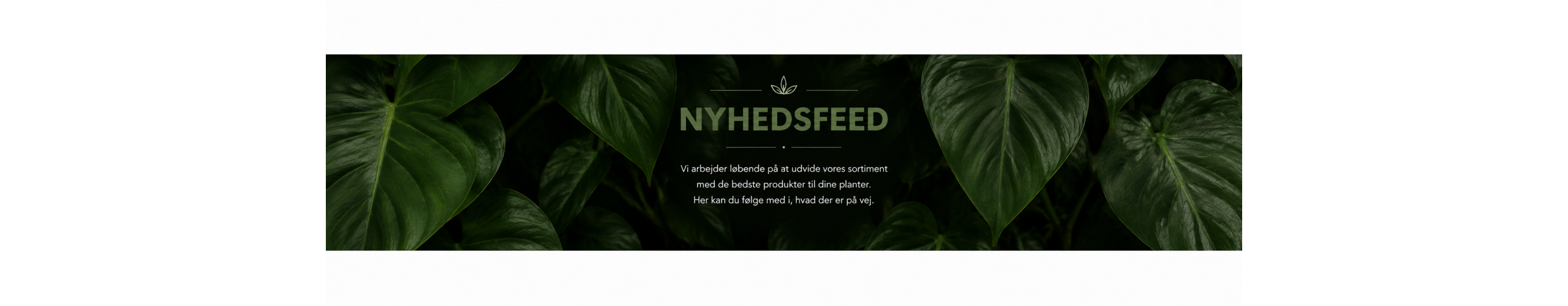 Nyhedsfeed