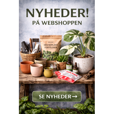 Nyheder!