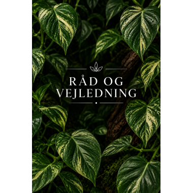 R&aring;d og Vejledning