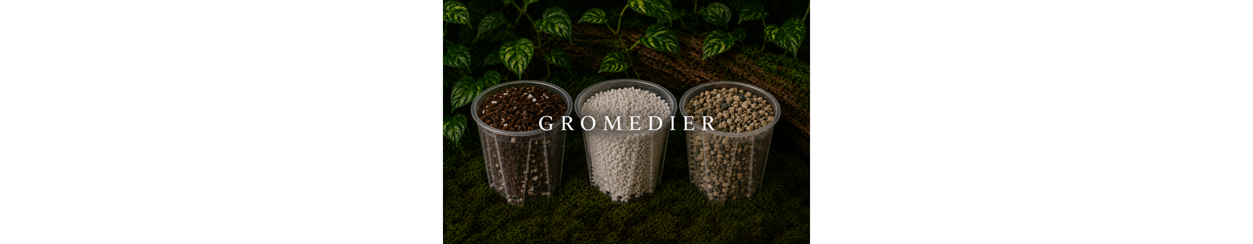 Gromedier
