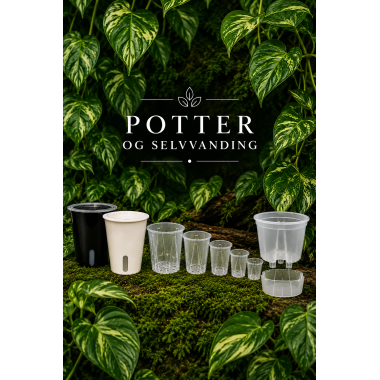 Potter og selvvandning  