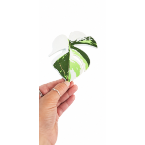Milsbo h�ndtag speciel design