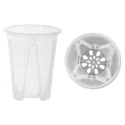 Aroid pots 12cm