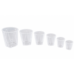 Aroid pots 12cm